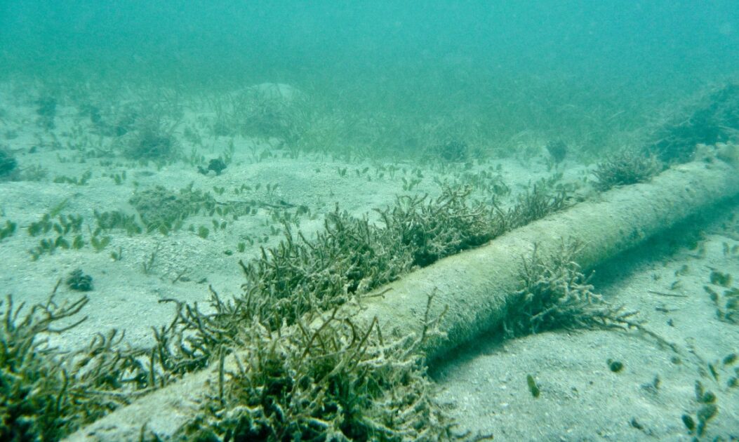 Representação de cabos submarinos responsáveis por 99% do tráfego intercontinental de dados no mundo.