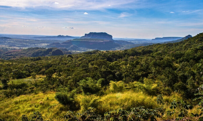 Imagem aérea do Cerrado brasileiro mostrando mosaico de vegetação nativa e áreas de transição no planalto central.