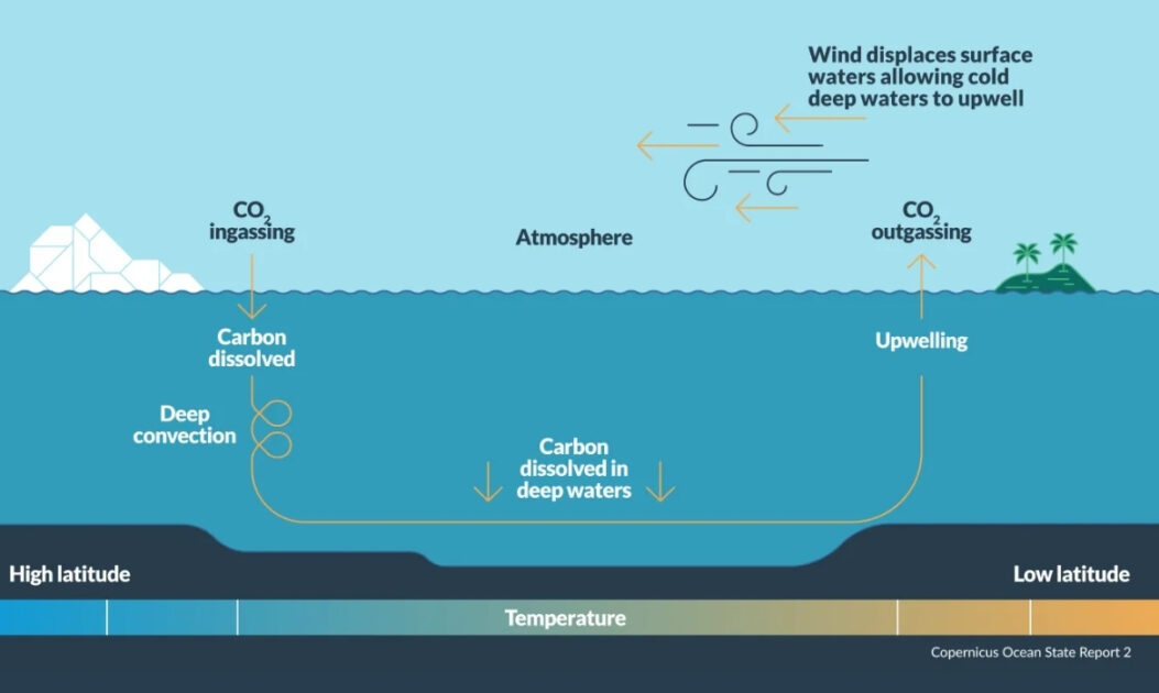 Gráfico científico do ciclo global do carbono mostrando a absorção de carbono pelos oceanos e a troca de CO₂ entre atmosfera, biosfera e mares.