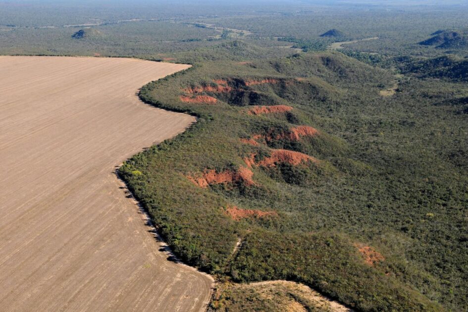 Foto aérea de desmatamento no Cerrado, com áreas de vegetação nativa suprimidas e avanço de lavouras.