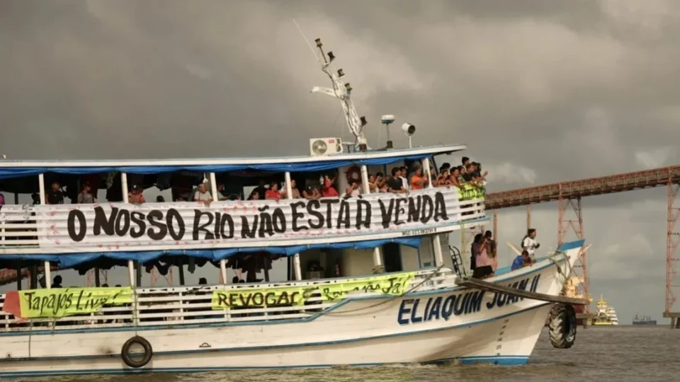 quando a floresta se organiza