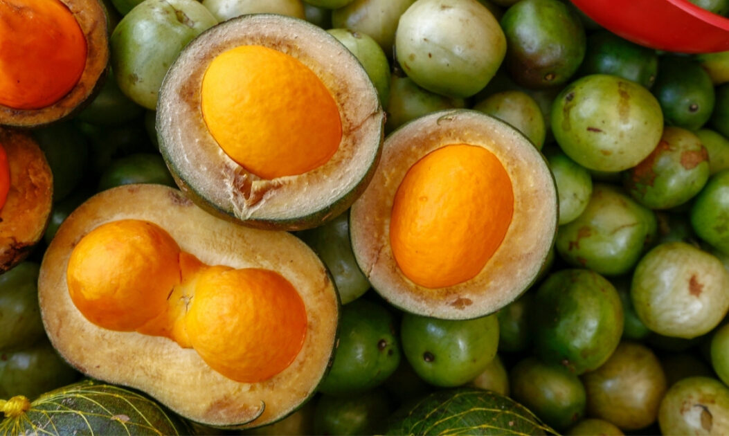 Imagem de pequi do Cerrado, fruto típico de casca verde e polpa amarela intensa.