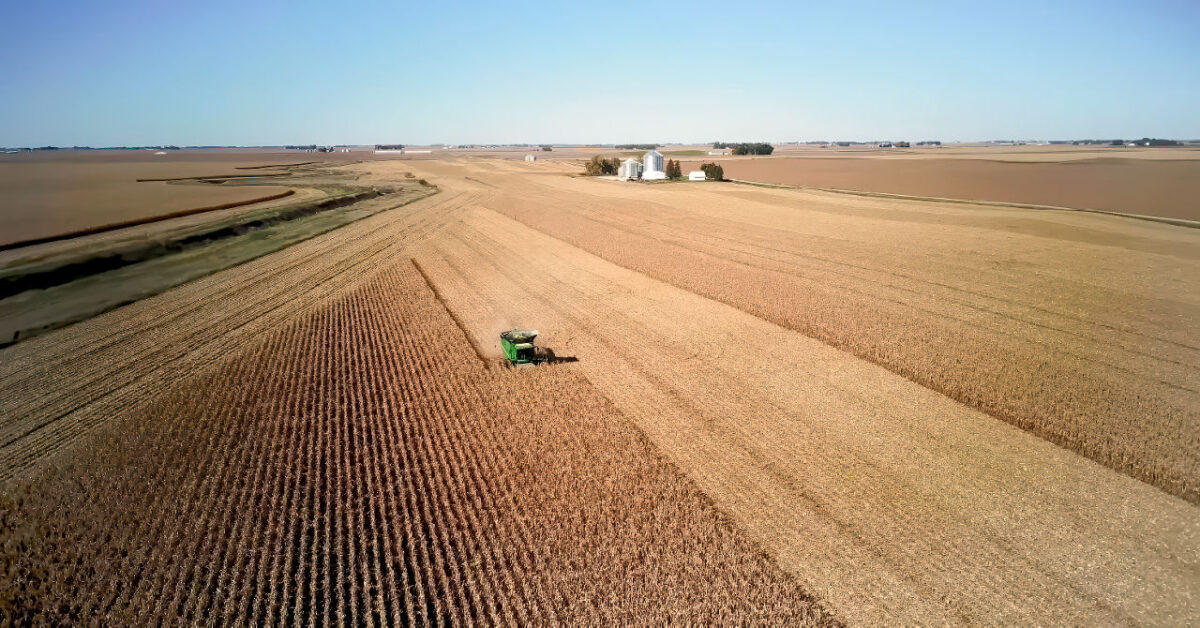 Imagem aérea de extensa plantação de soja no Brasil, cultura associada ao uso de agrotóxicos no Brasil na agricultura em larga escala.