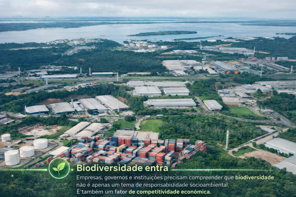 ChatGPT Image 11 de mar. de 2026 12 04 20