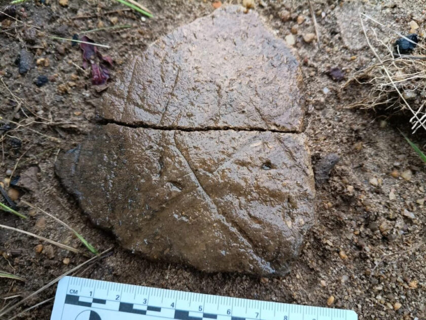 Imagens que evidenciam marcas concretas da ocupação humana na Amazônia.