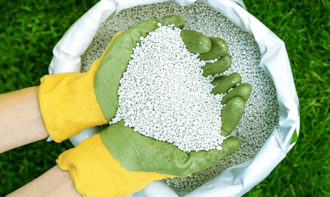 Mão segurando frasco de amônia verde com grama ao fundo simboliza o desenvolvimento de fertilizantes sustentáveis e o avanço dos combustíveis do futuro.