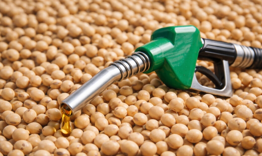 Mangueira de combustível posicionada sobre grãos de soja representa a produção de biocombustíveis e a expansão dos combustíveis do futuro a partir de matérias-primas agrícolas.