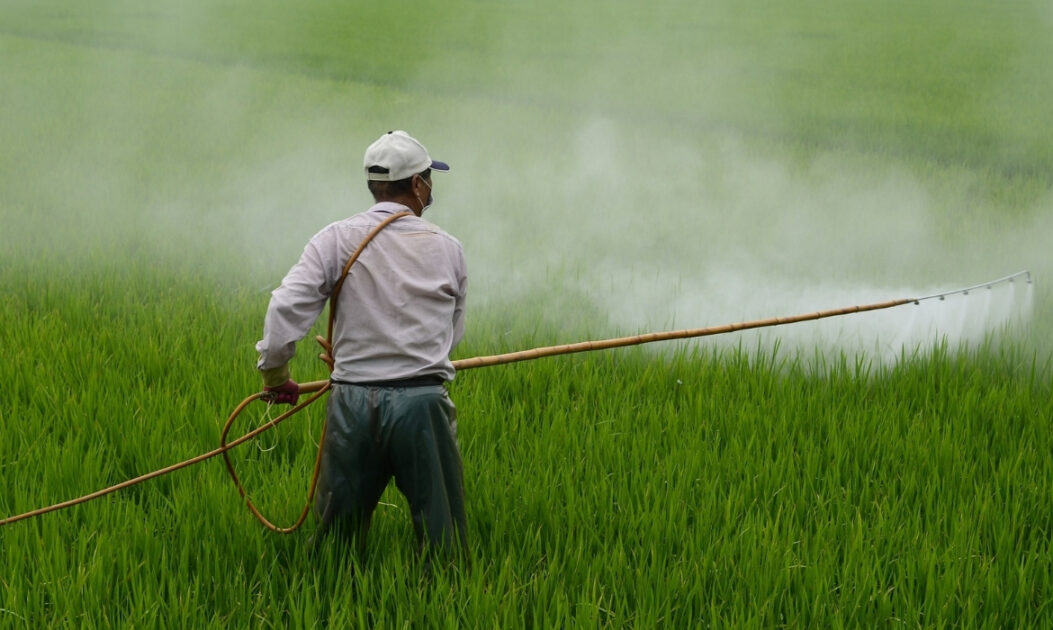 Trabalhador rural aplica pesticida em lavoura com pulverizador, prática relacionada ao uso de agrotóxicos no Brasil na produção agrícola.