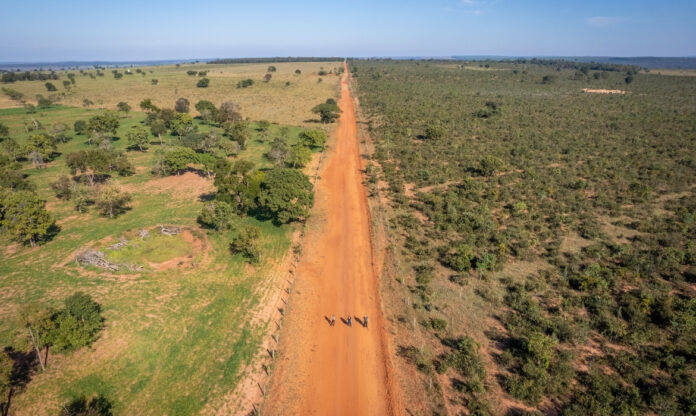 Imagem aérea mostra terras agrícolas abandonadas no Cerrado com áreas desmatadas e fragmentação da vegetação nativa.