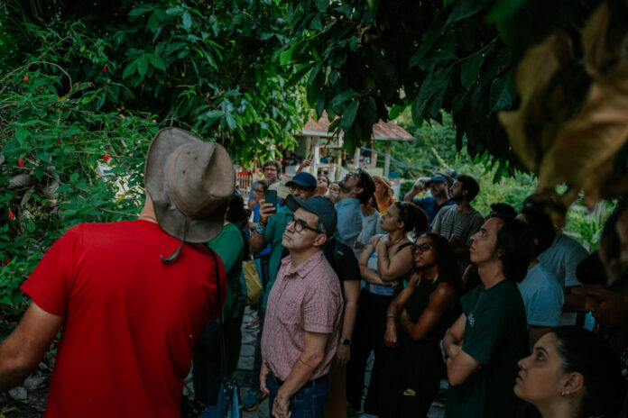 Especialista apresenta árvore durante ação de educação ambiental e bioeconomia do Idesam na Amazônia