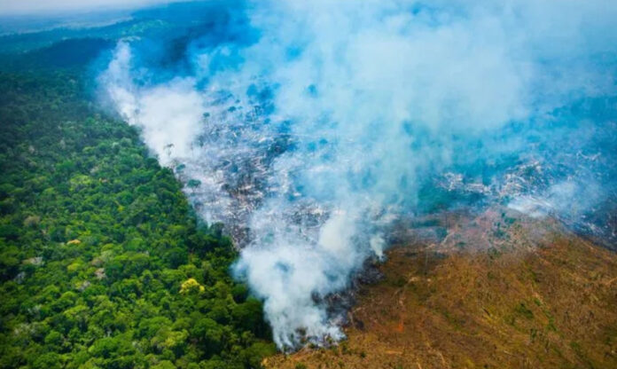 Área da Amazônia degradada após incêndio, com focos de fogo ativos e vegetação queimada, evidenciando a degradação da Amazônia.