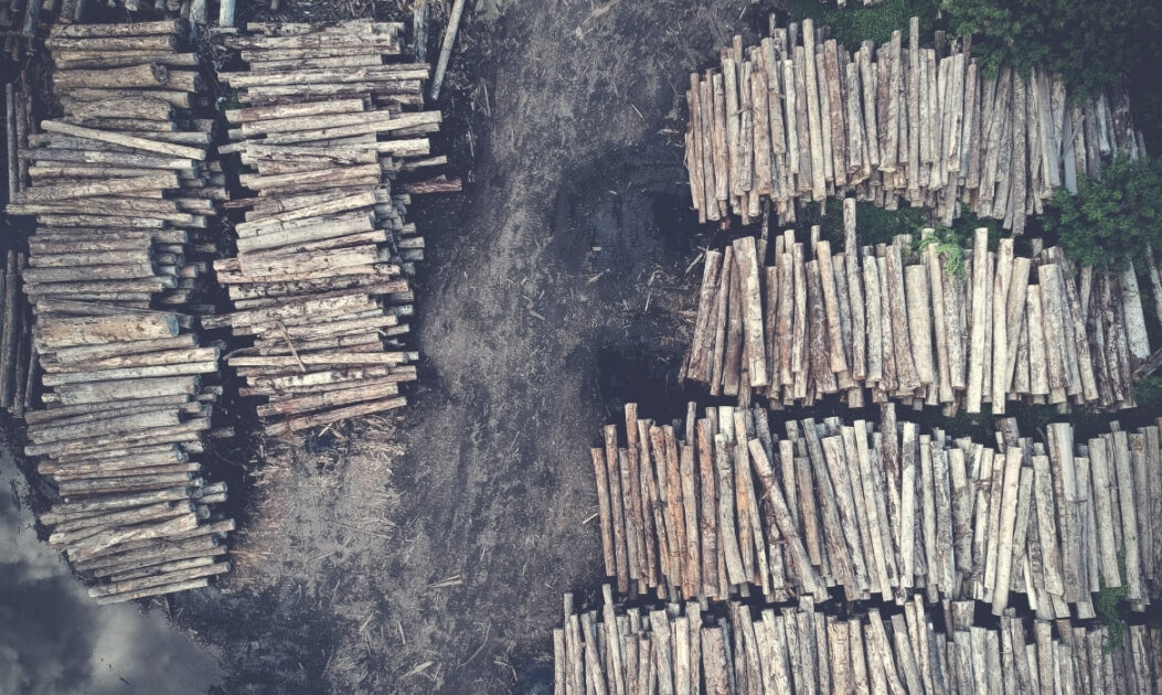 Imagem aérea mostra área de desmatamento, com troncos de árvores cortadas empilhados e clareiras abertas na vegetação. Desmatamento é a principal causa da transformação das florestas africanas em emissoras de carbono.