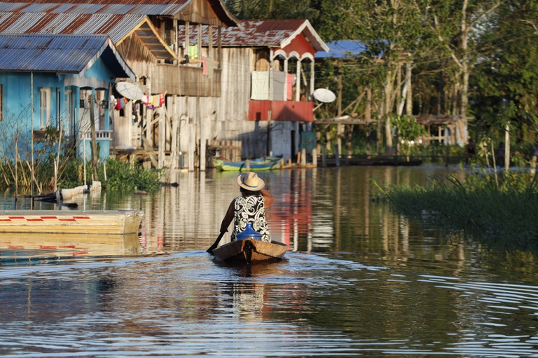 DESENVOLVER O AMAZONAS