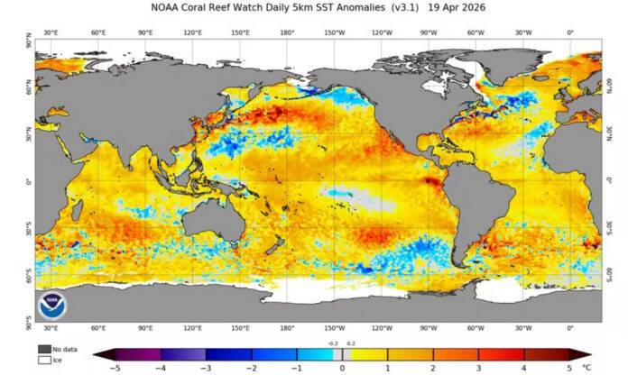Mapa global de anomalias da temperatura da superfície do mar indica aquecimento no Pacífico associado ao El Niño 2026