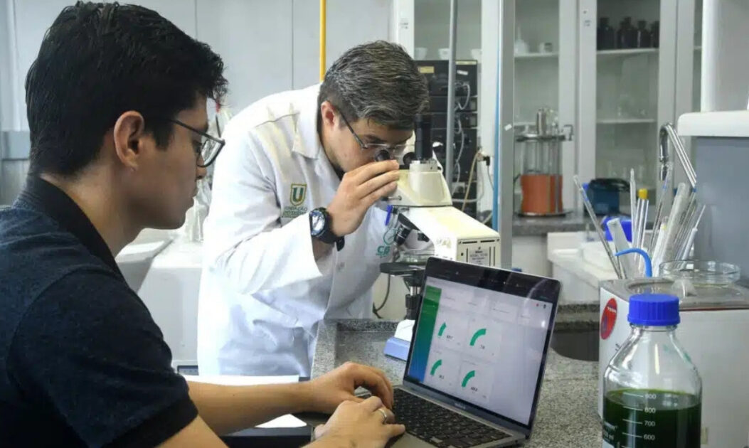 Pesquisadores analisam dados de biossensor com microalgas em laboratório com uso de microscópio e computador