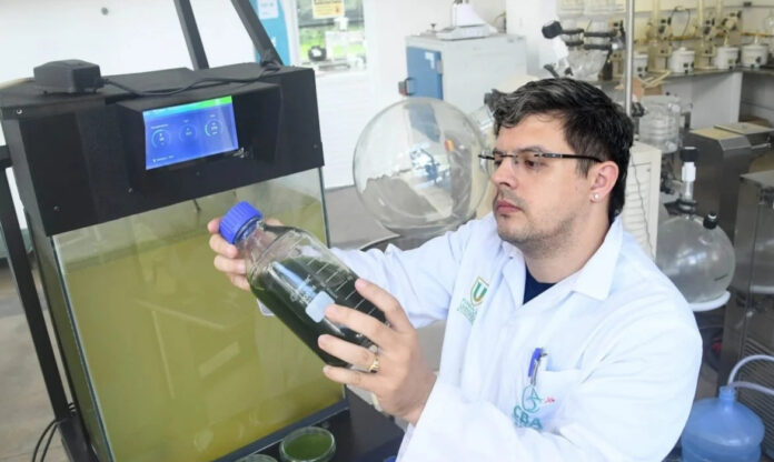 Cientista observa amostra em laboratório com biossensor com microalgas para análise da água