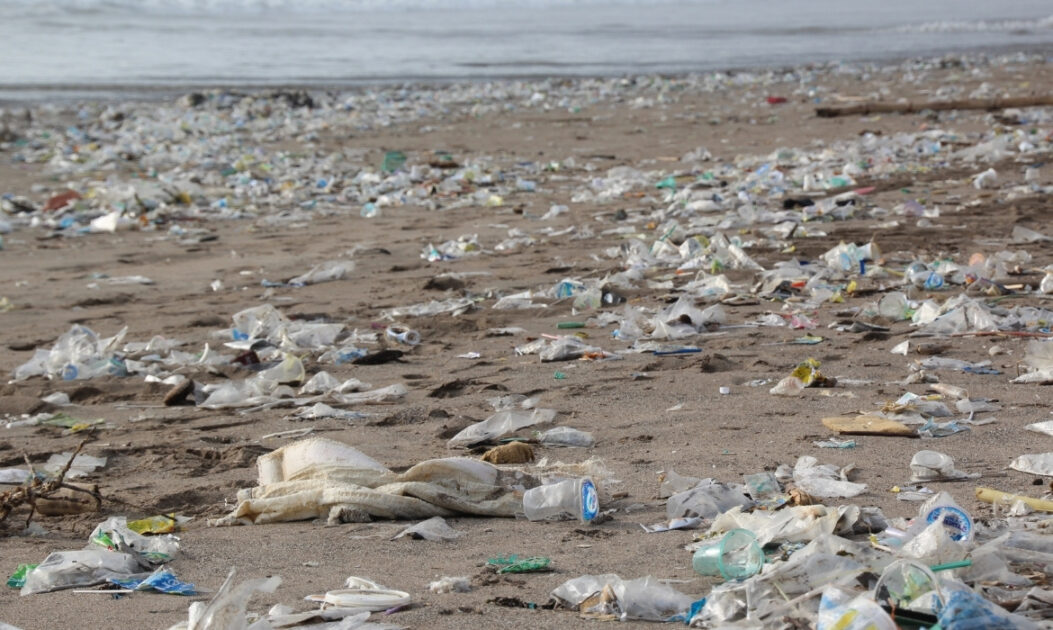 Poluição plástica em praia evidencia a necessidade de embalagens sustentáveis
