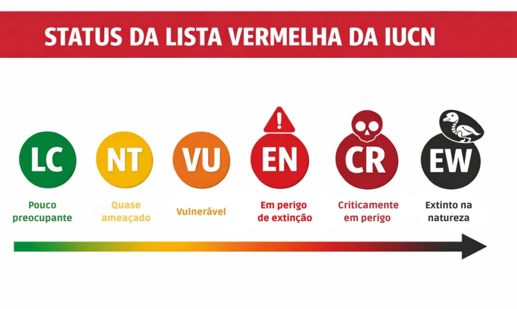 Gráfico dos status da Lista Vermelha da IUCN evidencia impactos da crise climática na Antártida sobre espécies ameaçadas