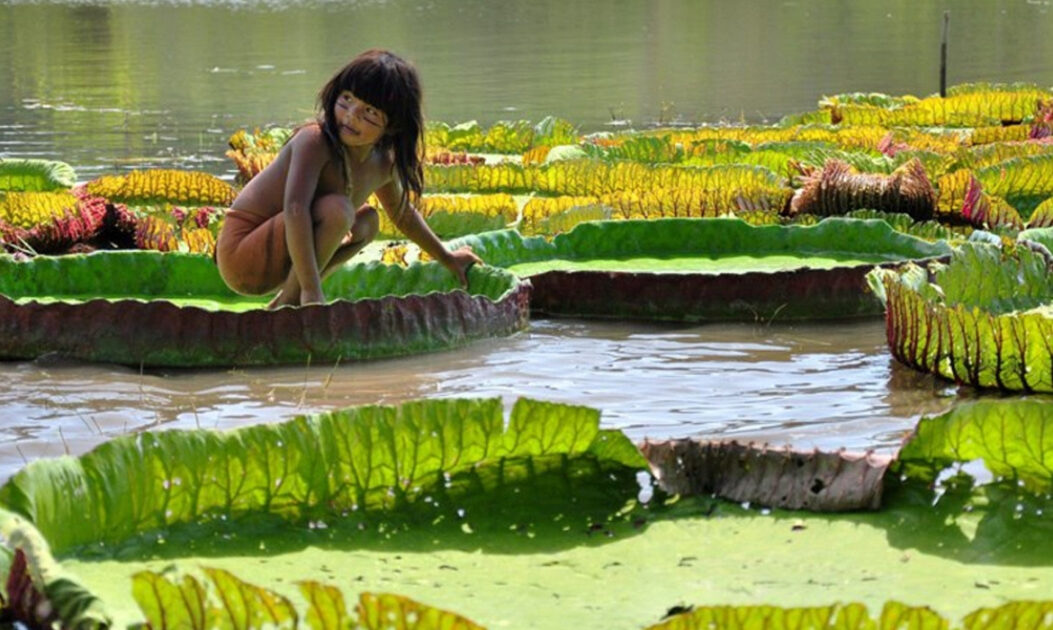 Menina indígena sobre flor em referência à lenda da vitória-régia.