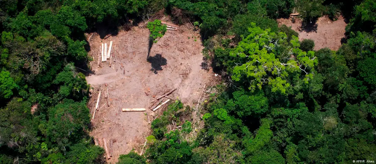 salvará a Amazônia