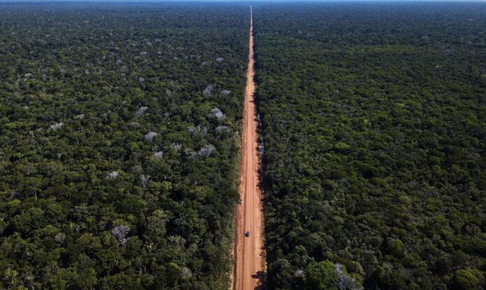 Imagem aérea da BR-319 cortando uma área de floresta amazônica preservada, com vegetação densa ao longo da rodovia.