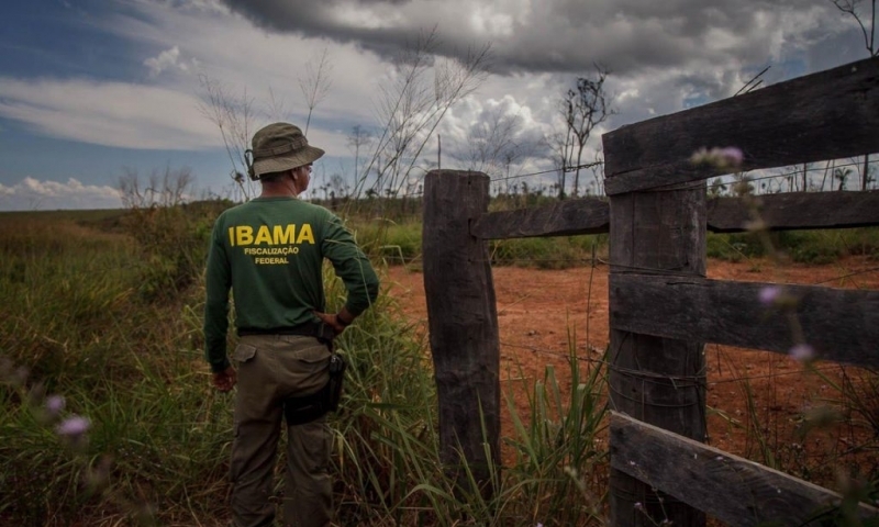 Ibama Multas ambientais meio ambiente