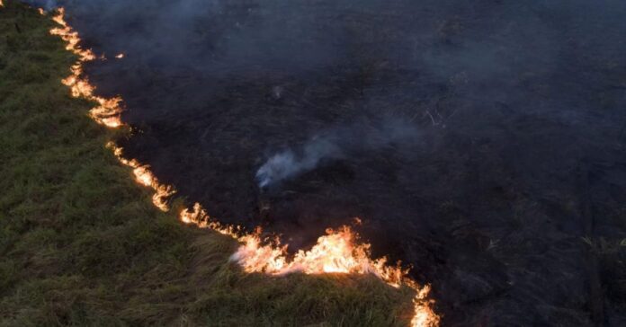 Imagem aérea mostra área de vegetação atingida por queimada, com fumaça se espalhando durante período de seca associado ao Super El Niño.