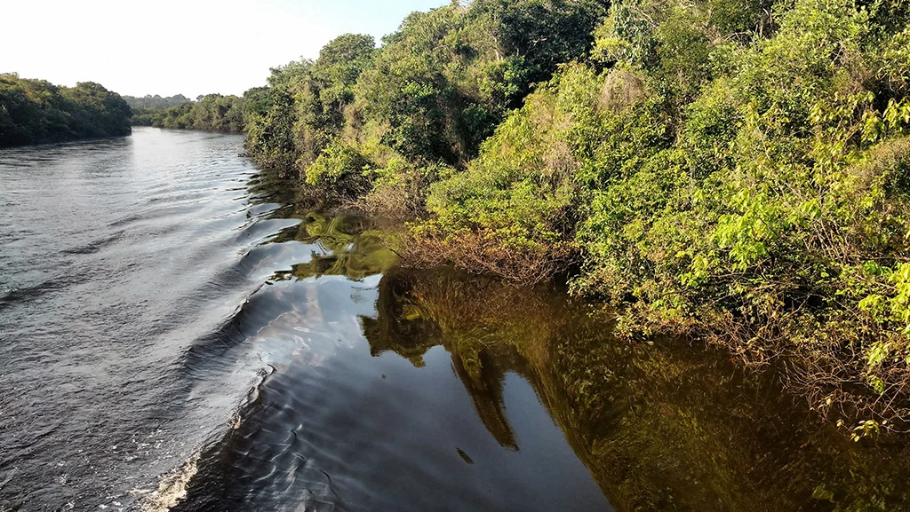 Amazonia inteligente