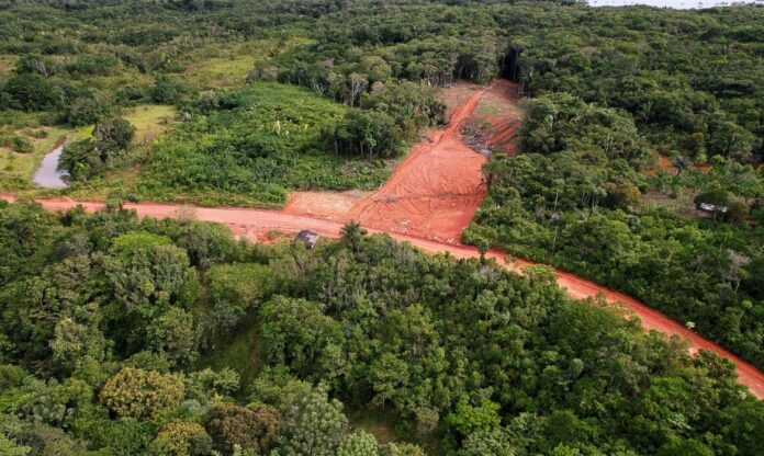 Alt txt: Imagem aérea da BR-319 atravessando a Floresta Amazônica, com estrada aberta em meio à vegetação densa.