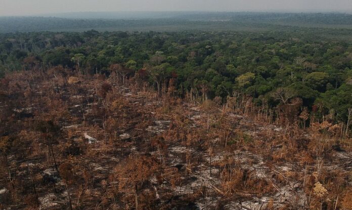 Área desmatada na Amazônia com trechos de floresta ao fundo, cenário associado aos riscos ambientais do pacote ruralista.