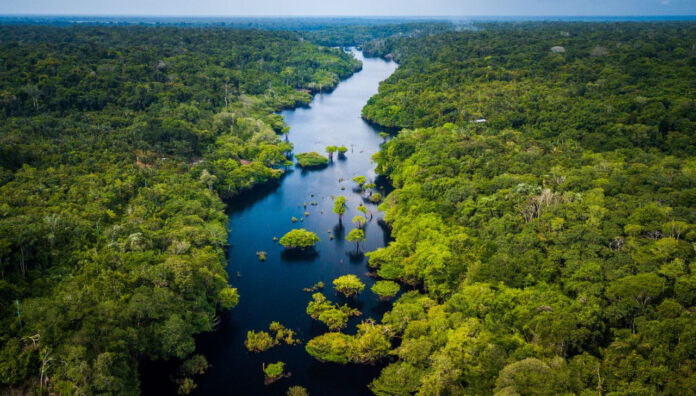 Vista aérea da Amazônia preservada, com rio cercado por floresta tropical, em referência aos investimentos do Eco Invest Brasil.