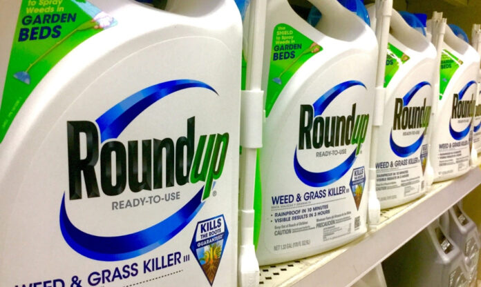 Embalagens de Roundup em prateleira de mercado; produto foi lançado pela Monsanto com herbicida à base de glifosato.