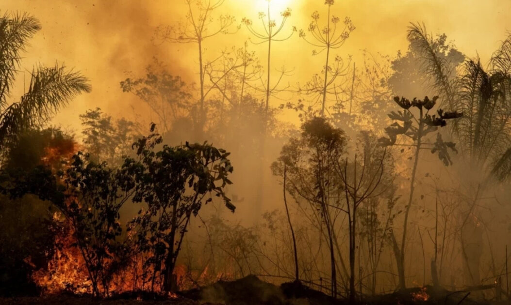 Incêndio florestal avança sobre vegetação na Amazônia, agravando a perda florestal no Brasil.