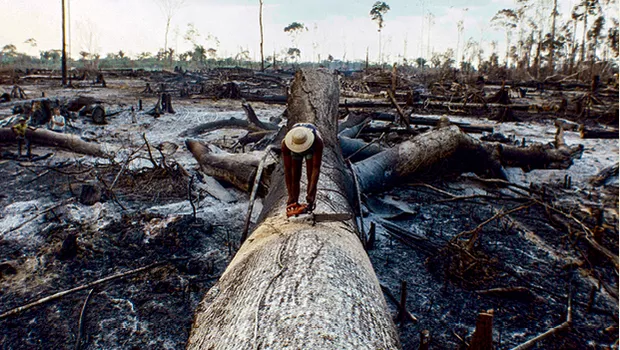 linha do tempo amazonia16.jpg