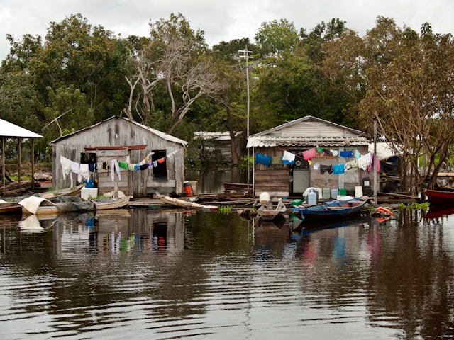 Amazonas e Brasil, uma independência ainda em construção 1 gustavo nacht ghzC bUJF1w unsplash